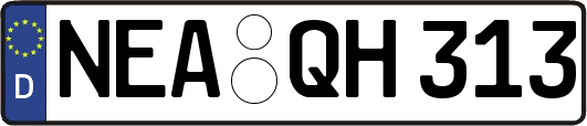 NEA-QH313