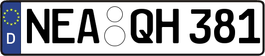 NEA-QH381