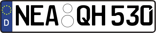NEA-QH530