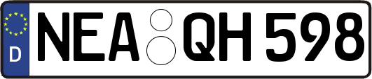 NEA-QH598