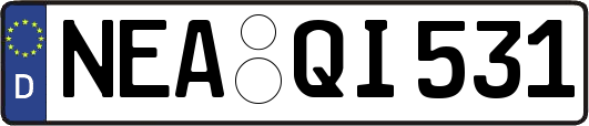 NEA-QI531