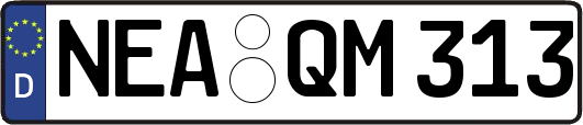 NEA-QM313