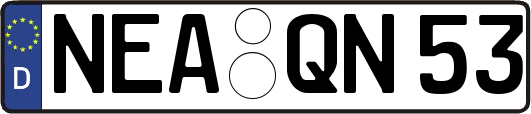 NEA-QN53