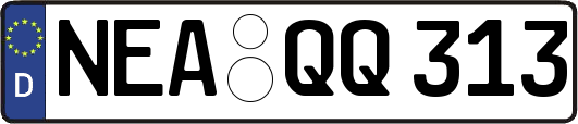 NEA-QQ313