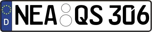 NEA-QS306