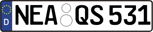 NEA-QS531