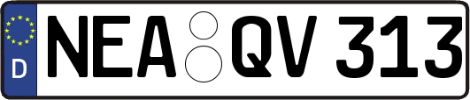 NEA-QV313