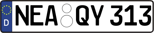 NEA-QY313