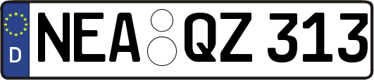 NEA-QZ313