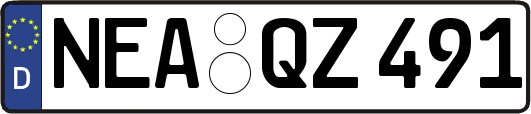 NEA-QZ491