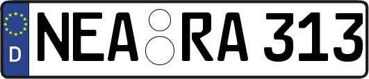 NEA-RA313