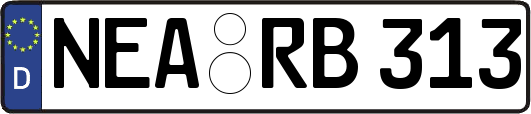 NEA-RB313