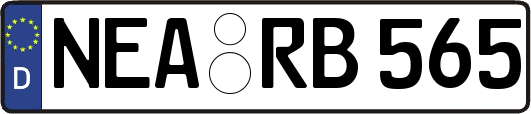 NEA-RB565