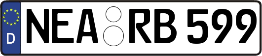 NEA-RB599