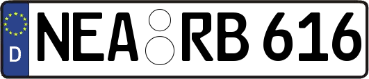 NEA-RB616