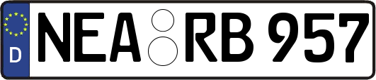 NEA-RB957