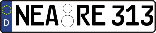 NEA-RE313