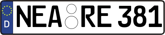 NEA-RE381