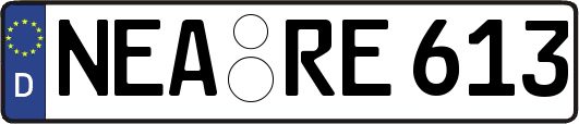 NEA-RE613