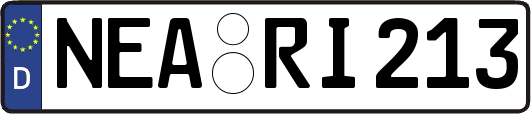 NEA-RI213