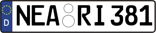 NEA-RI381