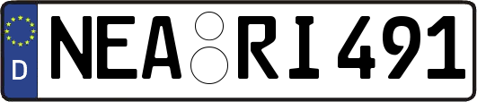 NEA-RI491