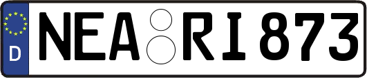 NEA-RI873