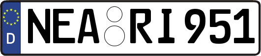 NEA-RI951