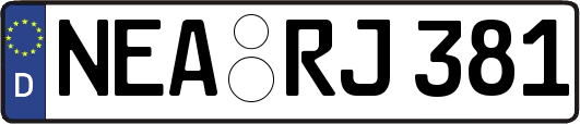 NEA-RJ381
