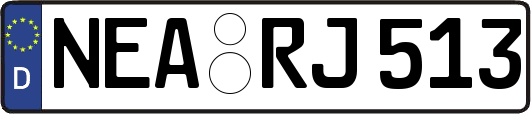 NEA-RJ513