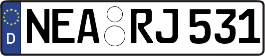NEA-RJ531