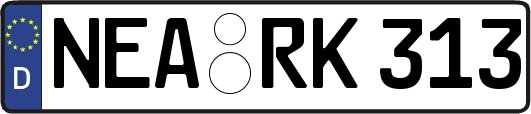 NEA-RK313