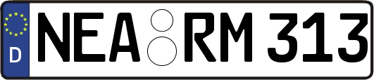 NEA-RM313