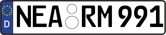 NEA-RM991