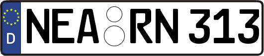 NEA-RN313