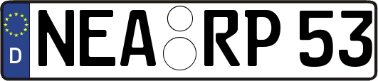 NEA-RP53