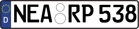 NEA-RP538
