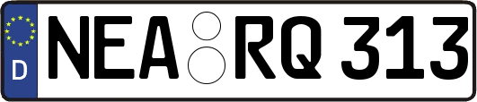 NEA-RQ313