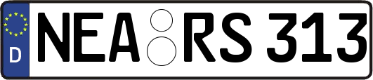 NEA-RS313