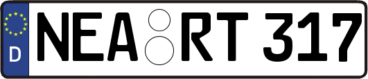NEA-RT317