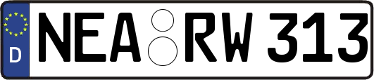 NEA-RW313