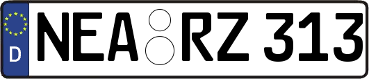 NEA-RZ313