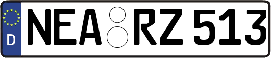 NEA-RZ513