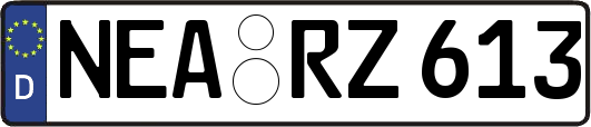 NEA-RZ613