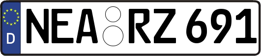 NEA-RZ691