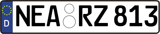NEA-RZ813