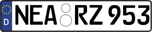 NEA-RZ953