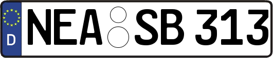 NEA-SB313