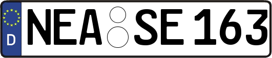 NEA-SE163