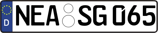 NEA-SG065